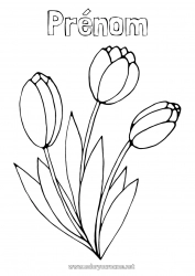 Dessin gratuit Fleurs Printemps Coloriages faciles