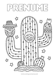 Pagină de colorat gratuită Bufniță, Uluce. Cactus Păsări și mamifere zburătoare