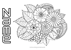 Free colouring Flowers Spring