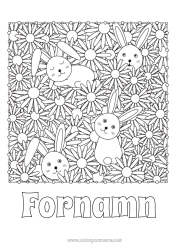 Gratis färgläggning Blommor Vår Kanin Djur Marguerite Komplexa målarbilder Skogens djur