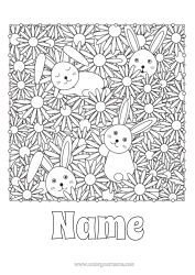 Colouring to customise Flowers Spring Rabbit Animal Daisy Complex Colouring Pages Forest Animals