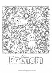 Coloriage gratuit Fleurs Printemps Lapin Animal Marguerite Coloriages complexes Animaux de la forêt