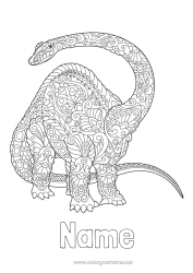 Colouring to customise Calm And Zen Mandala Dinosaurs Animal Diplodocus