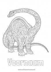 Kleurplaat aanpassen Rustig en zen Mandala Dinosaurussen Dier Diplodocus