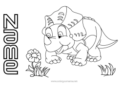 Colouring to customise Dinosaurs Animal Triceratops