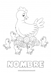 Dibujo libre Gallina Primavera Pollito Animales Huevos de Pascua Pascua de Resurrección Animales de granja