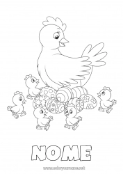 Desenho grátis Galinha Primavera Pintinho Animal Ovos de Páscoa Páscoa Animais de fazenda