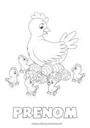 Dessin gratuit Poule Printemps Poussin Animal Oeufs de Pâques Pâques Animaux de la ferme