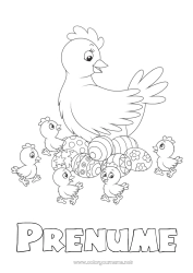 Pagină de colorat gratuită Cocoșă. Primăvară Pui Animal Ouă de Paște Paște Animale de fermă