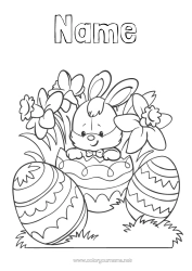 Free colouring Flowers Spring Rabbit Easter eggs Easter Daffodils Forest animals