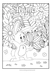 Free colouring Flowers Rabbit Animal Forest animals