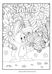 Free drawing Flowers Bunny Animal Forest animals