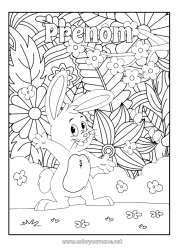 Dessin gratuit Fleurs Lapin Animal Animaux de la forêt