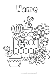 Free colouring Flowers Animal Bee Insects Hive Honey Cell