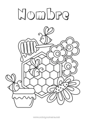 Colorear para personalizar Flores Animales Abeja Insectos Colmena Miel Alvéolo
