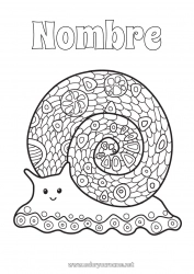 Dibujo libre Mandala Animales Caracol