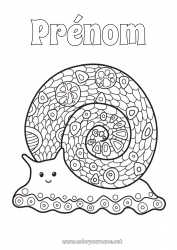 Coloriage gratuit Mandala Animal Escargot