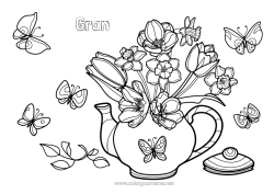 Free colouring Flowers Spring Butterfly Daffodils Tulip Insects