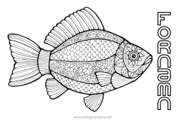 Gratis färgläggning Djur Fisk Aprilskämt Komplexa målarbilder Marina djur eller vattenlevande djur