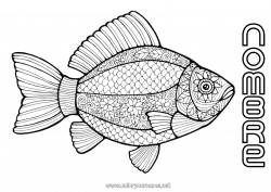 Colorear gratis Animales Pescado Día de los Inocentes Dibujos complejos para colorear Animales marinos o acuáticos