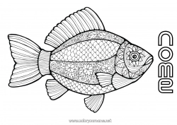 Desenho grátis Animal Peixe Peixe de abril Colorações Complexas Animais marinhos ou aquáticos