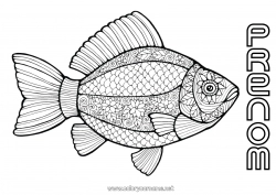 Dessin gratuit Animal Poisson Poisson d'avril Coloriages complexes Animaux marins ou aquatique