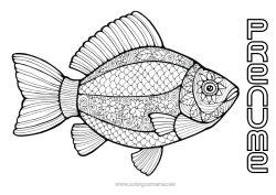 Desen liber de colorat Animal Pește Păcăleală de 1 aprilie Desene de colorat complexe Animale marine sau acvatice
