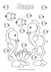 Free coloring Sea Animal Fish Seahorse Marine or aquatic animals