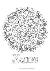 Free colouring Flowers Mandala Spring Rabbit Complex colouring pages Forest animals