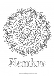 Colorear gratis Flores Mandala Primavera Conejo Dibujos complejos para colorear Animales del bosque