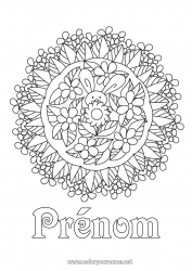 Coloriage gratuit Fleurs Mandala Printemps Lapin Coloriages complexes Animaux de la forêt