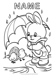 Free colouring Spring Chick Rabbit Animal Easter eggs Farm animals Forest animals