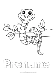 Desen liber de colorat Drăguț Animal Șarpe Copac Reptile