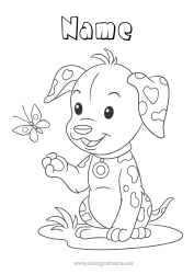 Free colouring Dog Spring Butterfly Animal Insects Dogs and cats