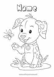 Free coloring Dog Spring Butterfly Animal Insects Dog and cat