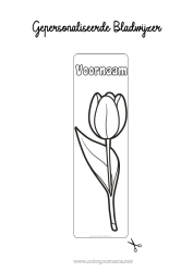 Gratis tekening Bloemen Lente Bladwijzer Tulp Nederland