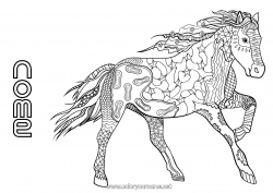 Disegno gratuito Mandala Cavallo Animale Animali da fattoria