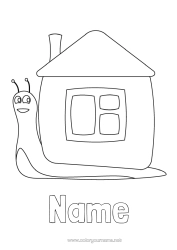 Colouring to customise Animal Snail House