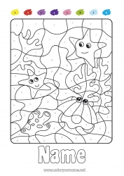 Coloring to customize Number Sea Coloring by numbers Children's activities Sea Shell Marine or aquatic animals