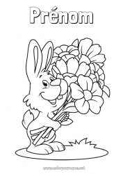 Dessin gratuit Fleurs Printemps Lapin Animal Animaux de la forêt