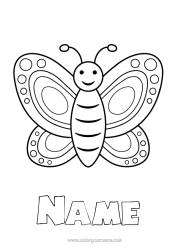 Free colouring Butterfly Animal Insects
