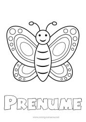 Desen liber de colorat Fluture Animal Insecte