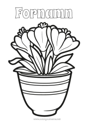 Gratis färgläggning Blommor