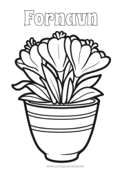 Gratis fargelegging Blomster