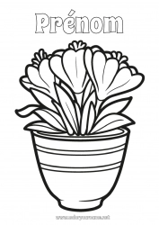 Coloriage gratuit Fleurs