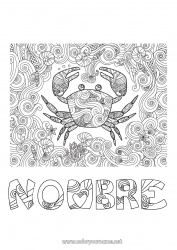 Colorear para personalizar Mandala Mar Animales Cangrejo Animales marinos o acuáticos