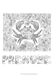Pagină de colorat gratuită Mandala Mare Animal Crab Animale marine sau acvatice