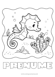 Pagină de colorat gratuită Mare Animal Hipocamp Animale marine sau acvatice