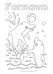 Gratis tegning Ballonger Hav Dyr Delfin Marin eller akvatisk dyr