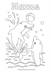 Free coloring Balloons Sea Animal Dolphin Marine or aquatic animals